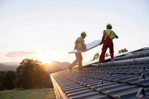 Best Skylight Installation and Repair  in Antwerp, OH