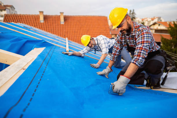 Best Roof Moss and Algae Removal  in Antwerp, OH