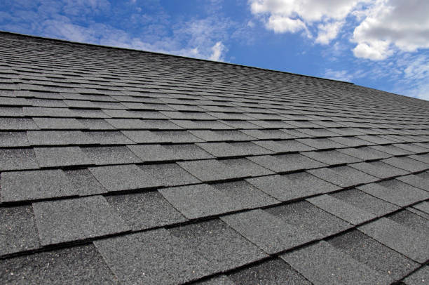 Best Roof Maintenance and Cleaning  in Antwerp, OH